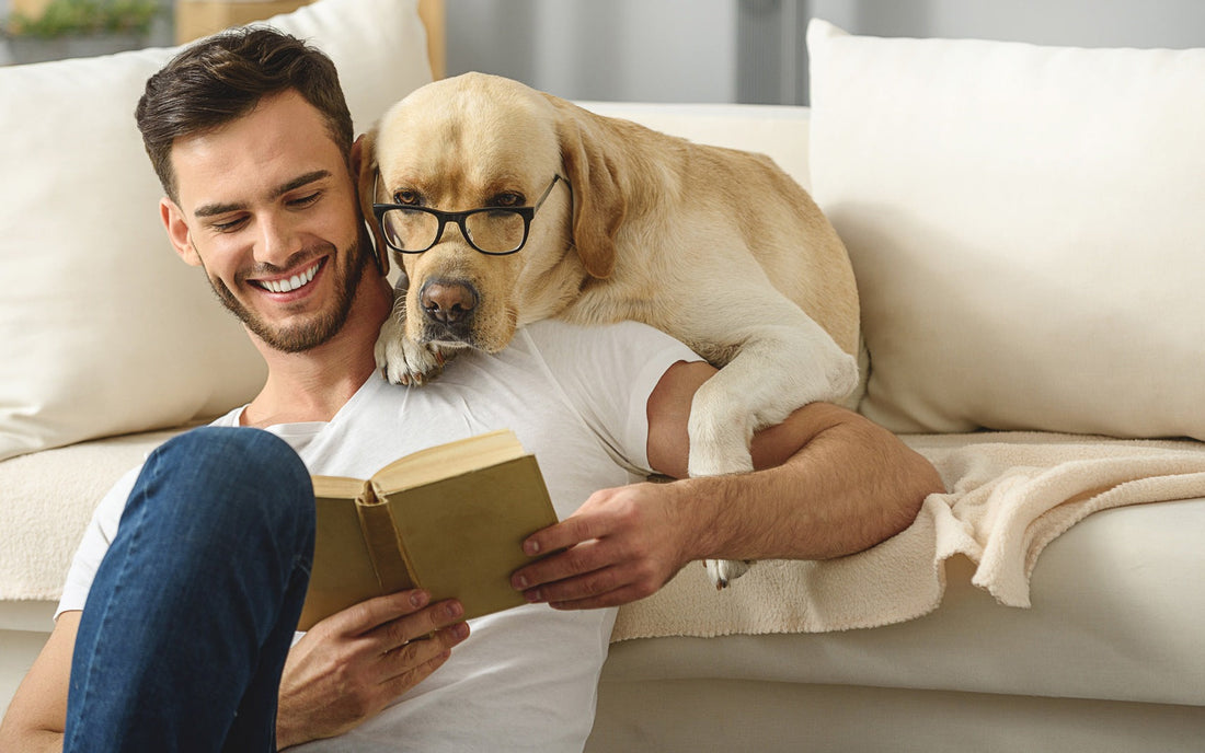 Why Your Pet Needs a Grounding Bed: Natural Comfort for Better Rest