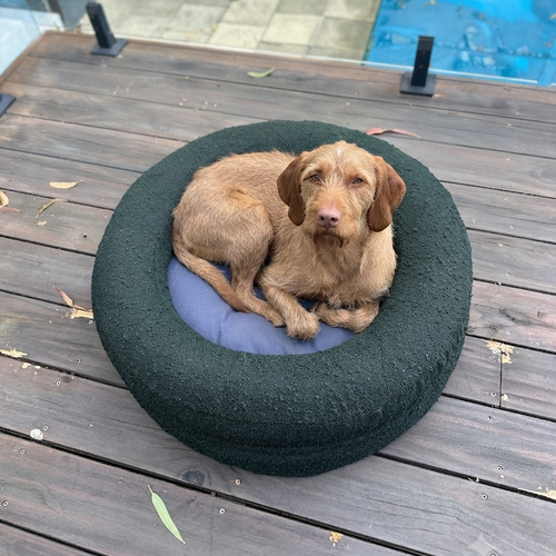 Grounding Heart™ Pet Bed